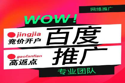 专业sem托管服务案例，揭秘广告投放优化策略